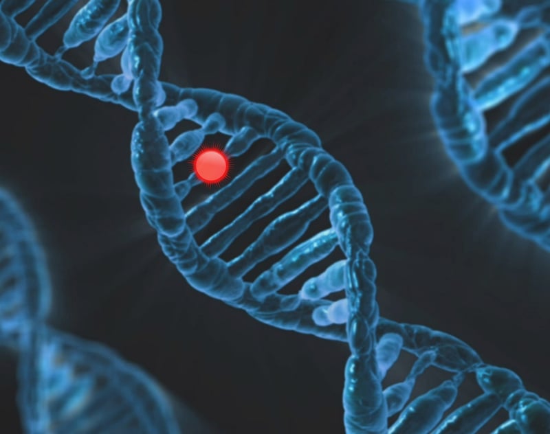 Genetic Engineering
